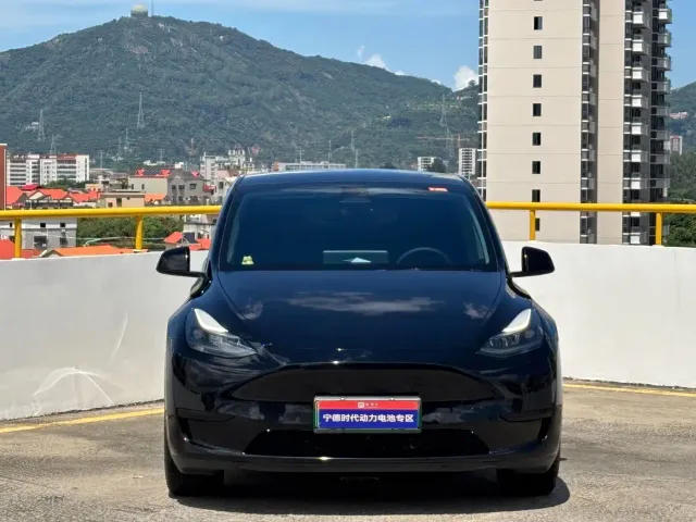 Tesla Model Y — Фото автомобиля 2