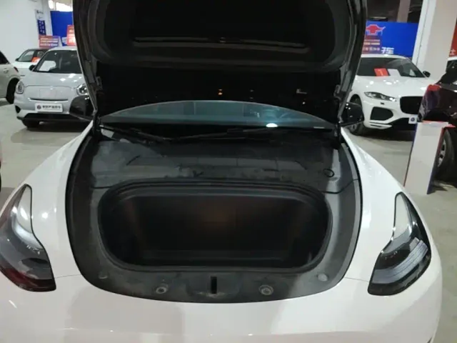 Tesla Model Y — Фото автомобиля 19