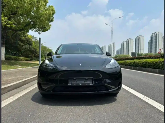 Tesla Model Y — Фото автомобиля 2