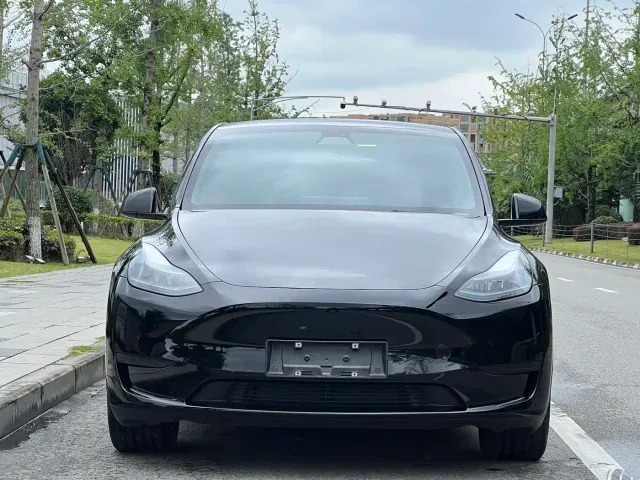 Tesla Model Y — Фото автомобиля 2