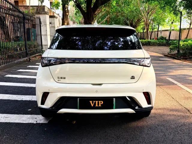 BYD Dolphin — Фото автомобиля 3
