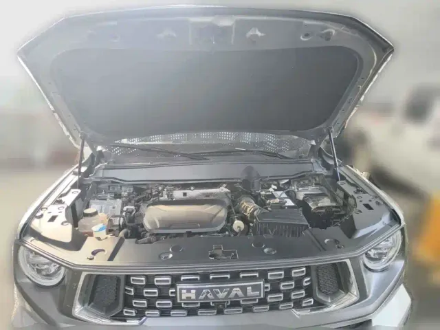Haval Big Dog — Фото автомобиля 3