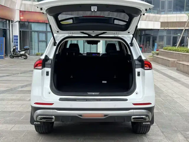 Haval H6 — Фото автомобиля 14