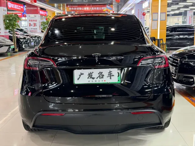Tesla Model Y — Фото автомобиля 19