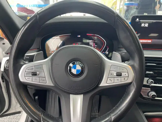 BMW 5 Series — Фото автомобиля 8