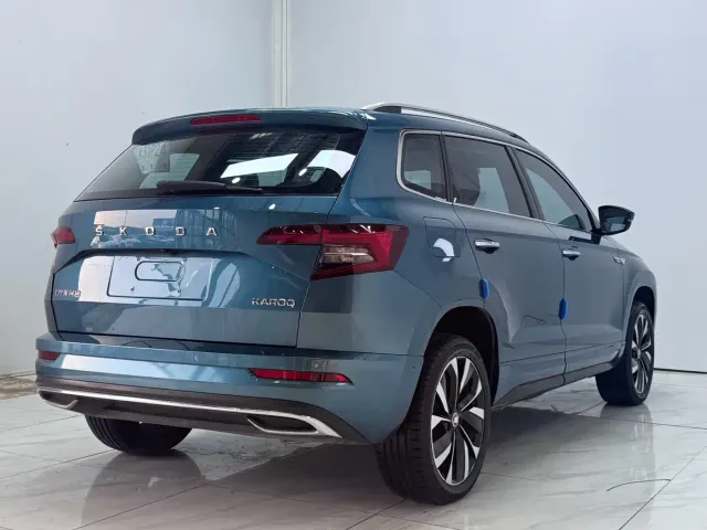 Skoda Karoq — Фото автомобиля 6