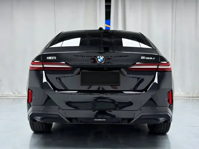 BMW 5 Series — Фото автомобиля 12