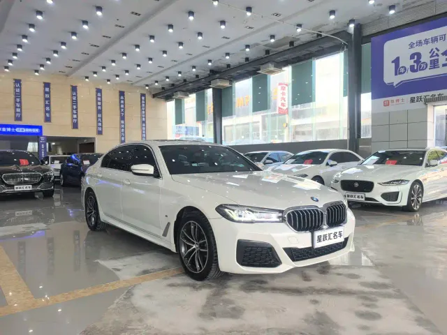 BMW 5 Series — Фото автомобиля 3
