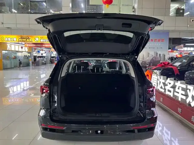 Ford Lingrui — Фото автомобиля 15