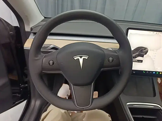 Tesla Model Y — Фото автомобиля 10