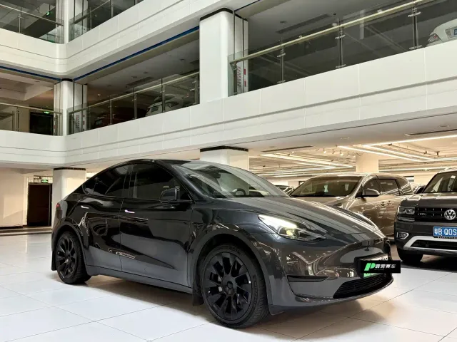Tesla Model Y — Фото автомобиля 3