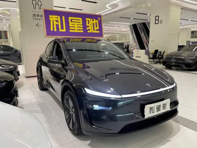 Tesla Model Y — Фото автомобиля 2