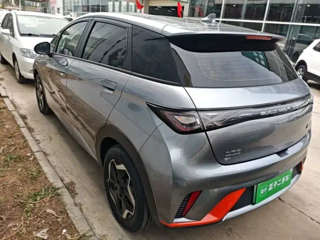 BYD Dolphin — Фото автомобиля 4