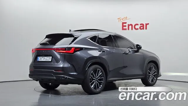 Lexus NX 2nd Gen — Фото автомобиля 2
