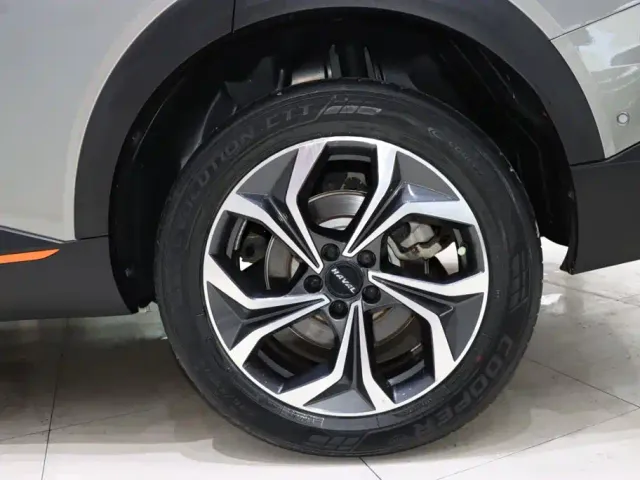 Haval Shenshou — Фото автомобиля 15