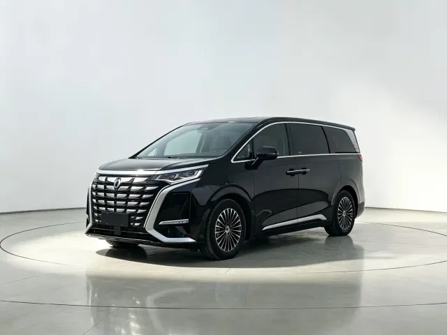 Фотография автомобиля — Denza D9