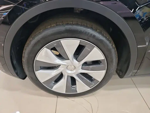 Tesla Model Y — Фото автомобиля 22