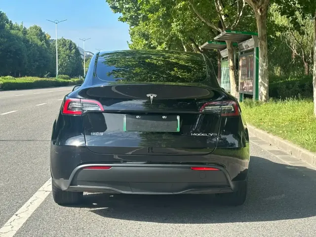 Tesla Model Y — Фото автомобиля 4