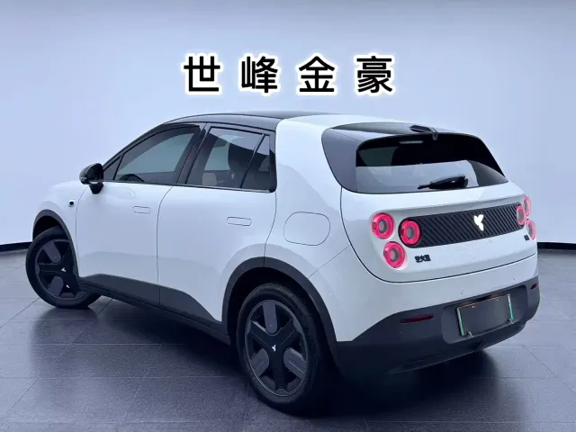Nio Firefly — Фото автомобиля 28