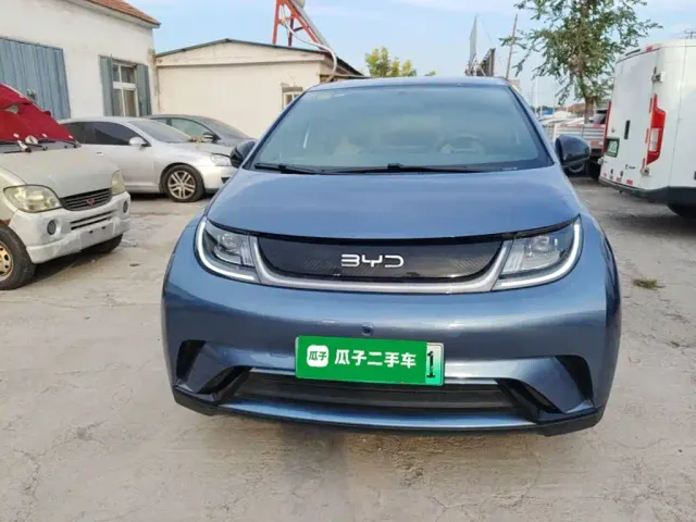 BYD Dolphin — Фото автомобиля 2
