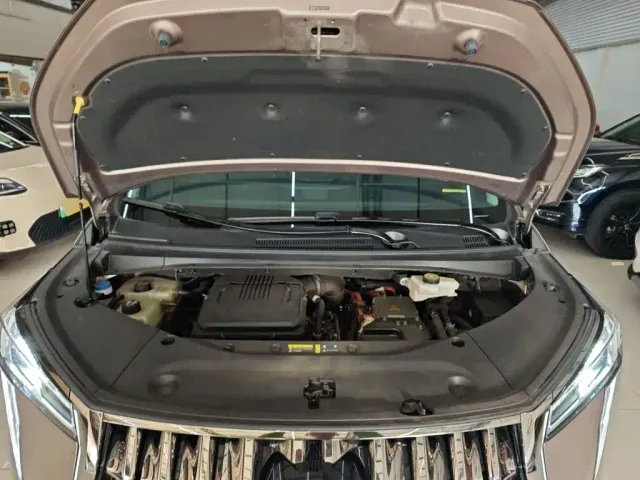 GAC Trumpchi E9 — Фото автомобиля 19