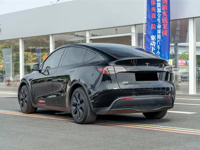 Tesla Model Y — Фото автомобиля 6