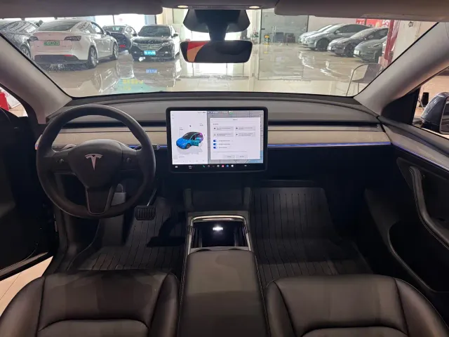 Tesla Model Y — Фото автомобиля 9