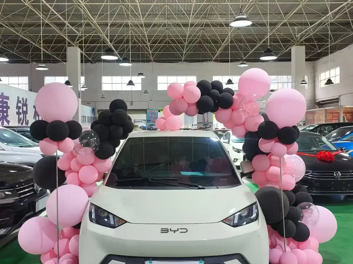 BYD Seagull 2024 Glory Edition 305km Vitality Edition — Фото автомобиля 2