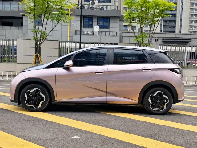 BYD Dolphin — Фото автомобиля 2