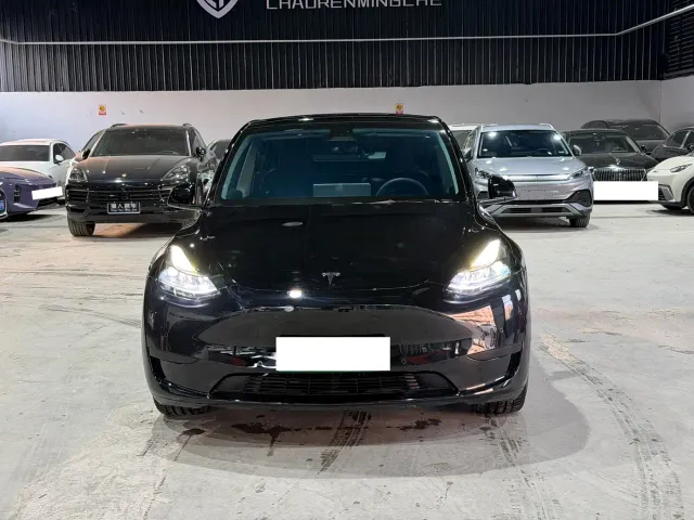 Tesla Model Y — Фото автомобиля 2