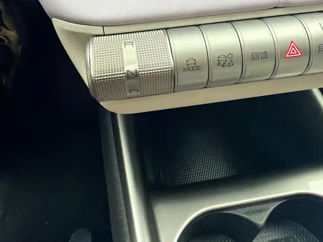 BYD Dolphin 2021 401km Knight Edition — Фото автомобиля 8