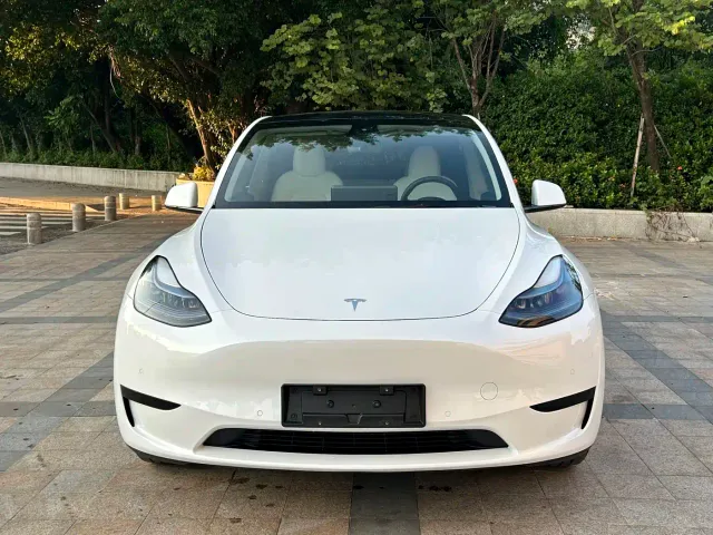 Tesla Model Y — Фото автомобиля 2