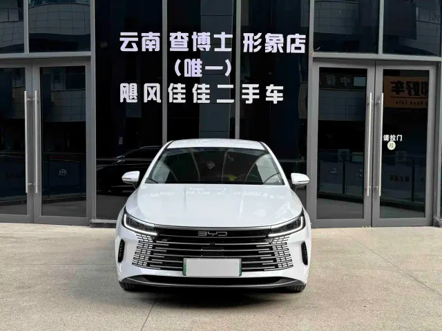 BYD Destroyer 05 — Фото автомобиля 5