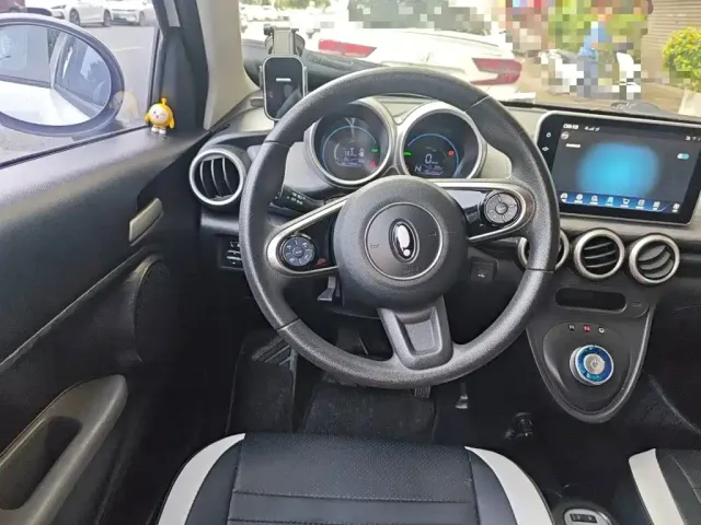Ora Ora Black Cat 2021 301km Pet Edition — Фото автомобиля 12