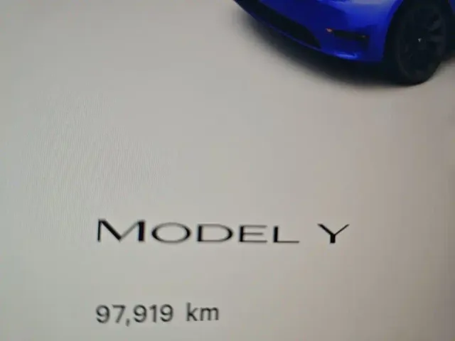 Tesla Model Y — Фото автомобиля 11
