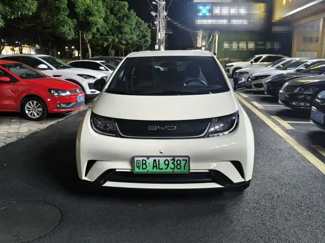 BYD Dolphin — Фото автомобиля 2