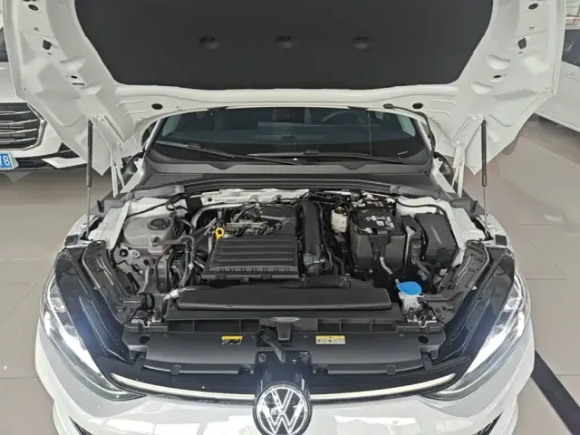 Volkswagen Lamando — Фото автомобиля 19