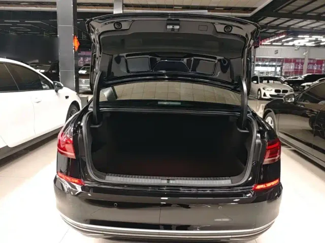 Volkswagen Passat — Фото автомобиля 18
