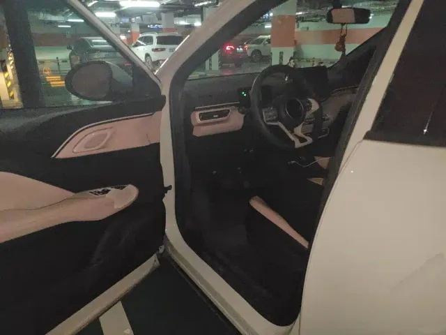 BYD Seagull — Фото автомобиля 12