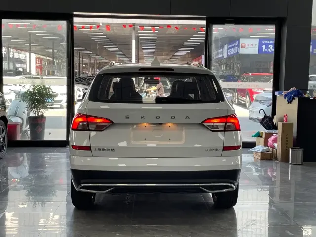 Skoda Kamiq — Фото автомобиля 15