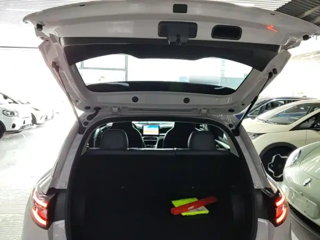 Geely Starry Wish — Фото автомобиля 18
