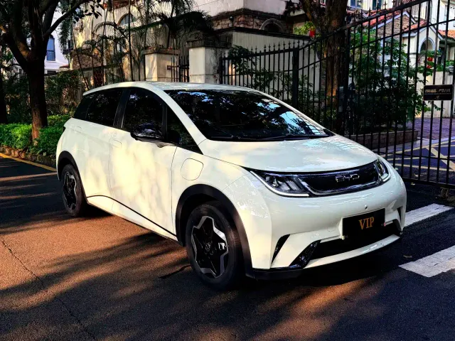 BYD Dolphin — Фото автомобиля 5