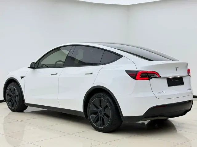 Tesla Model Y — Фото автомобиля 9