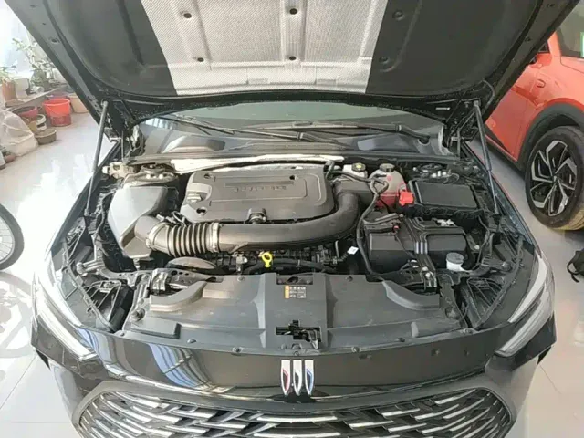 Buick Regal — Фото автомобиля 19