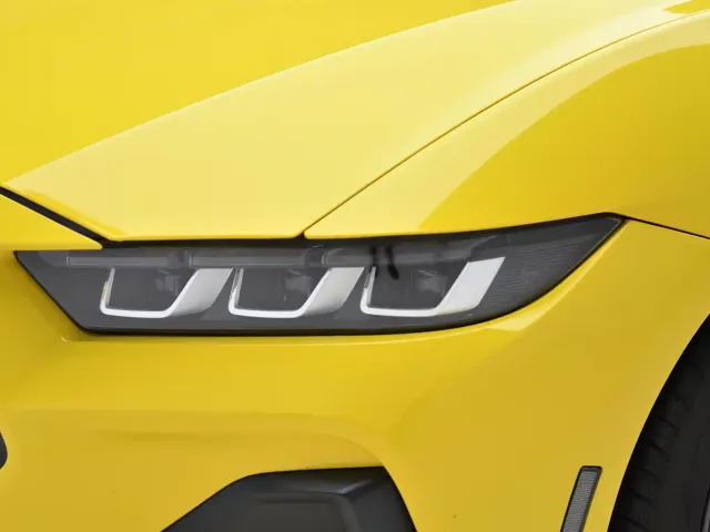 Ford Mustang — Фото автомобиля 23