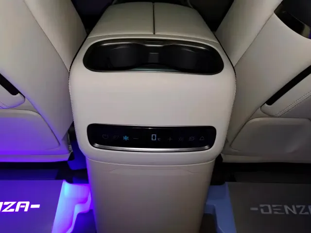 Denza D9 — Фото автомобиля 14