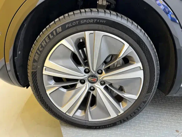 Hongqi E-HS9 — Фото автомобиля 2