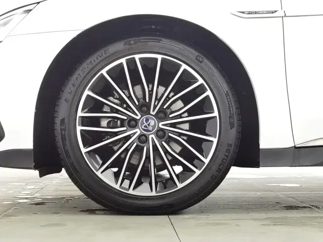 BYD Han 2022 DM-i 121KM Premium Edition — Фото автомобиля 17