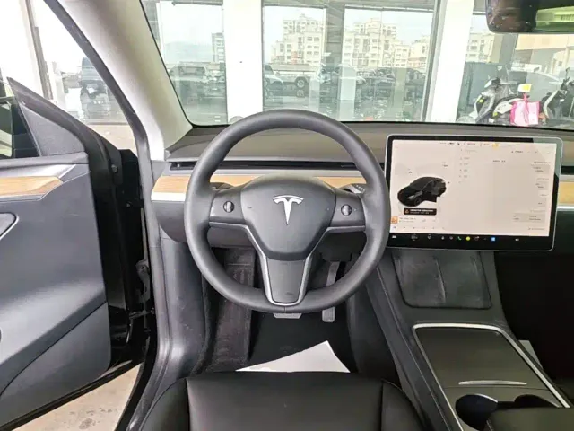 Tesla Model Y — Фото автомобиля 10