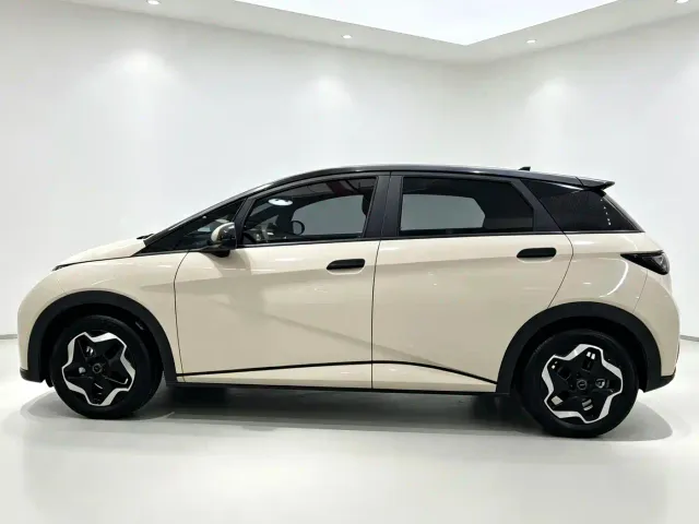BYD Dolphin — Фото автомобиля 14